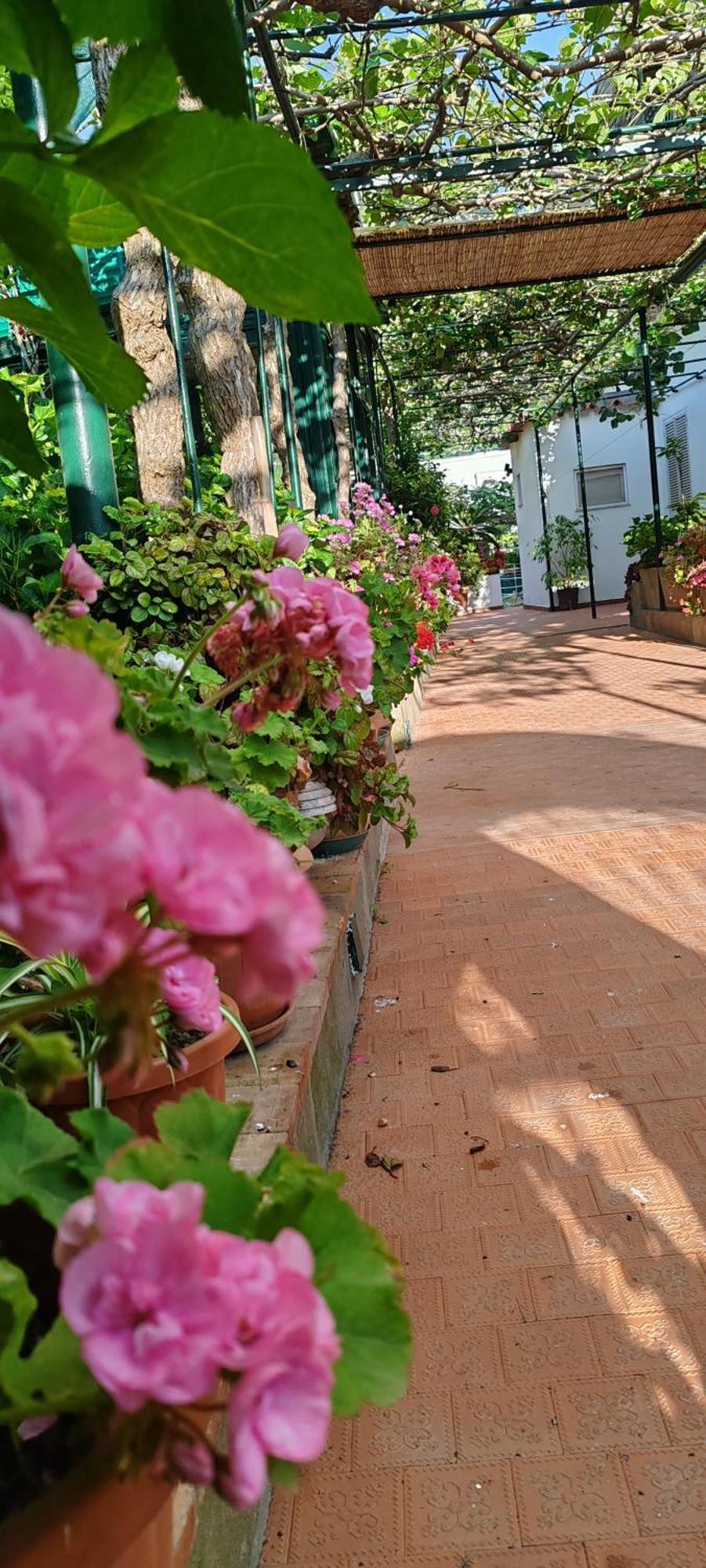 Villa Dei Fiori B&B Capri Extérieur photo